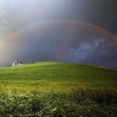 Chiesa e omosessualità: fare chiarezza nella carità