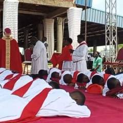 Mons. Cordileone afirma que la Iglesia se renovará con el testimonio de los mártires nigerianos