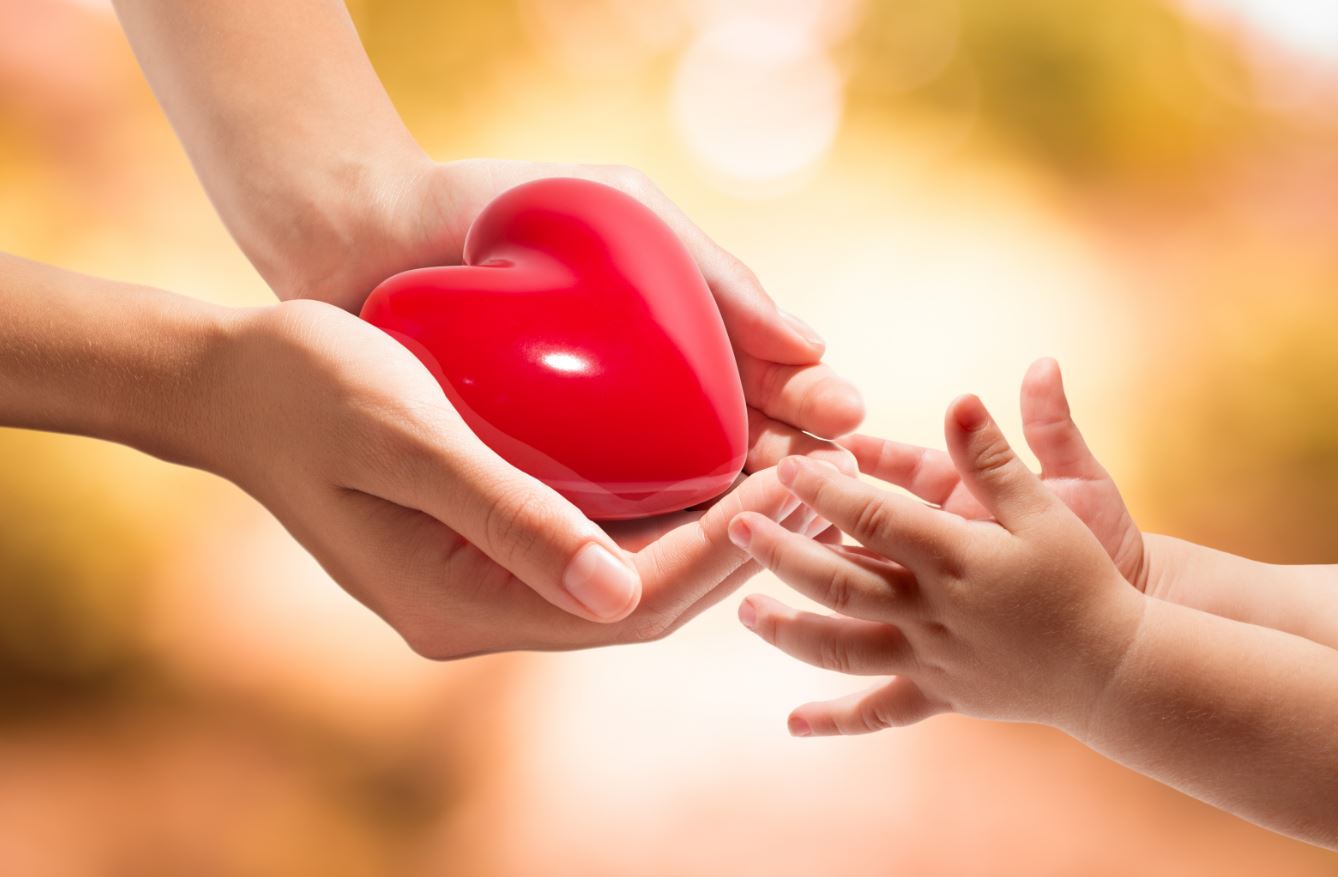salute del cuore cuore