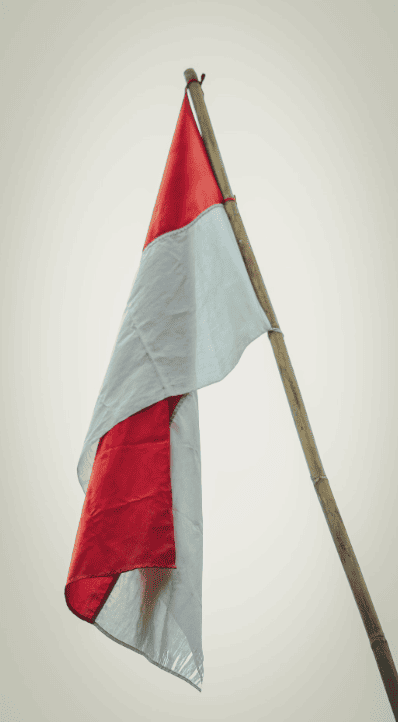 Indonesia Bandiera by Ryan Dinata on Unsplash
