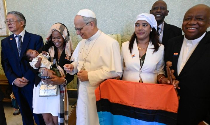 Pope Leo welcomes a delegation from the Chagos Refugees Group