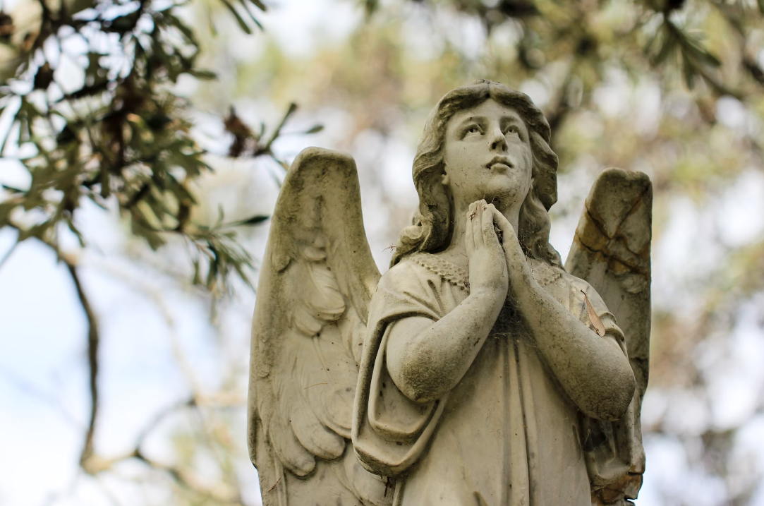 Angel by Sandy Millar