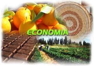 economia 5