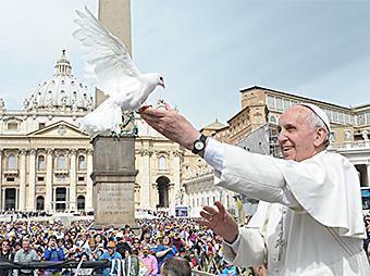 papa francesco colomba