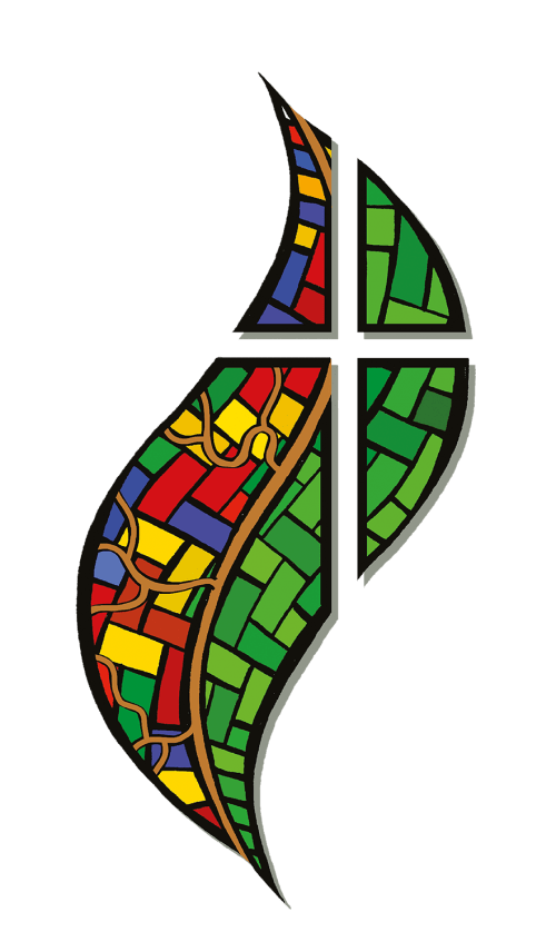 logo sinodoamazonico
