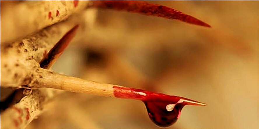 Preziosissimo Sangue di Ges&ugrave; Cristo