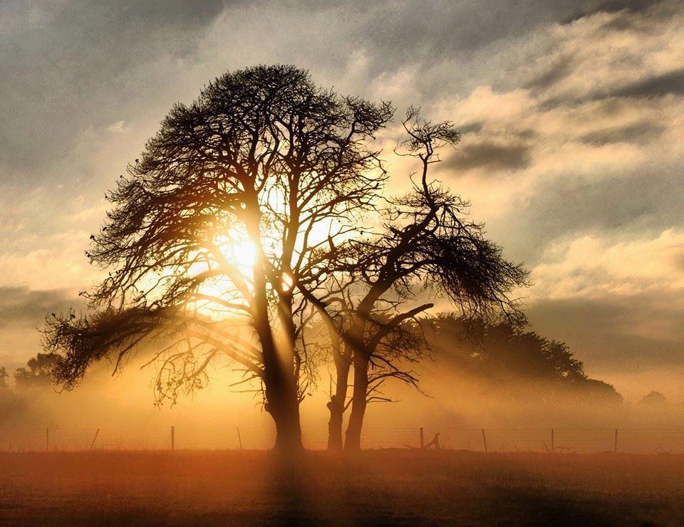 controluce speranza