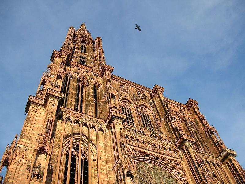 la cattedrale di notre dame