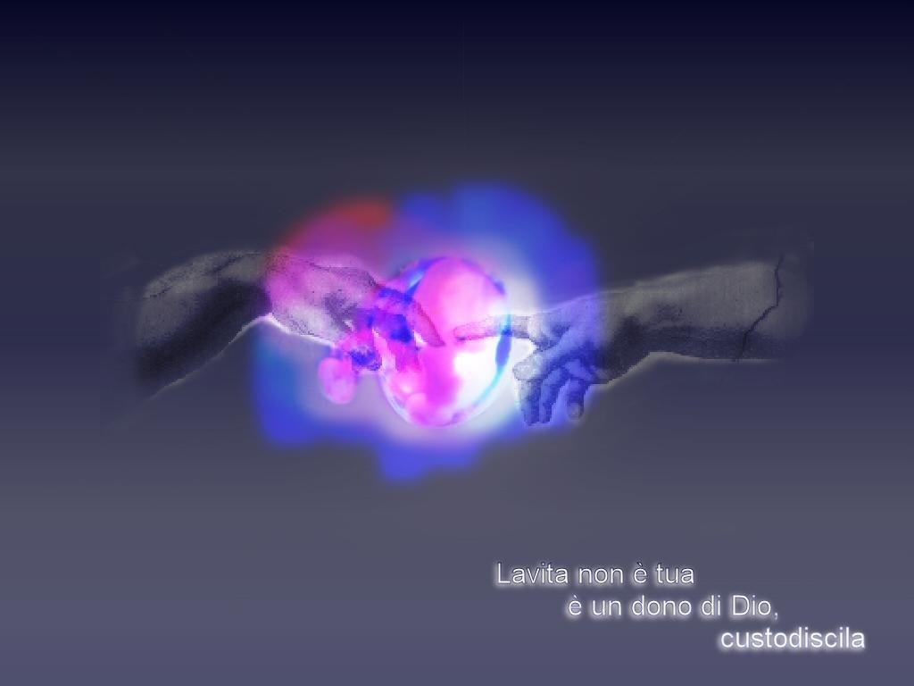embrione.jpg