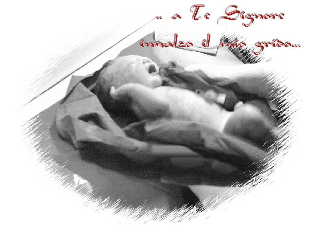 maternity3.jpg