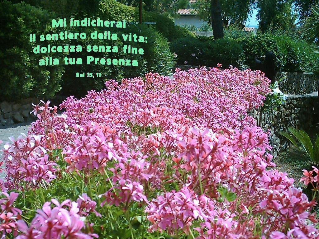 sentierovita.jpg