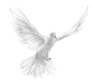 dove-holy-spirit.jpg