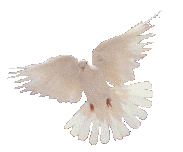 dove